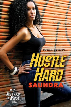 Cover of the book Hustle Hard by Vonna Harper