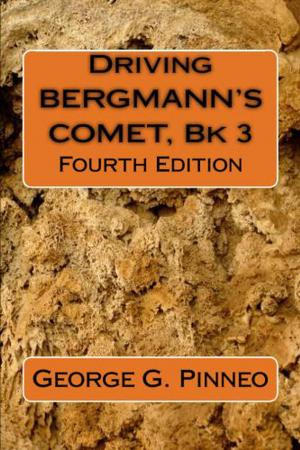 Cover of the book Driving Bergmann's Comet by George Donnelly, Wendy McElroy, Jake Antares, J.P. Medved, William F. Wu, Jack McDonald Burnett, Robert S. Hirsch, Jonathan David Baird