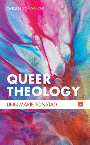 Cover of the book Queer Theology by Lambert Zuidervaart