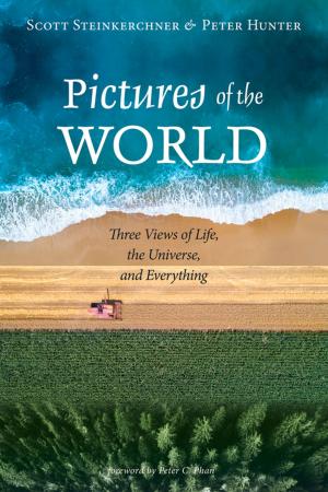 Cover of the book Pictures of the World by John Barber