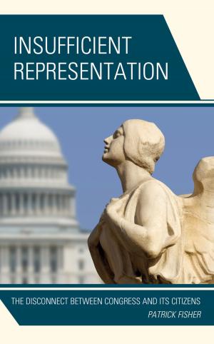 Cover of the book Insufficient Representation by Christopher J. Schneider