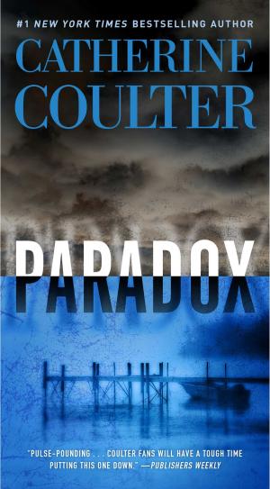 Cover of the book Paradox by Jared Dillian