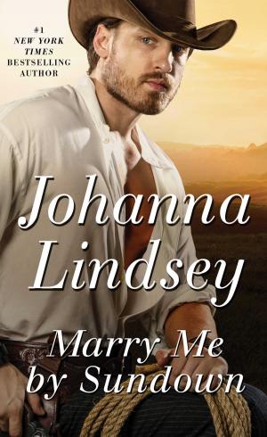 Cover of the book Marry Me by Sundown by Sandra Ireland
