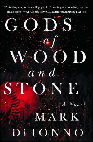 Cover of the book Gods of Wood and Stone by Dan Riskin, Ph.D.