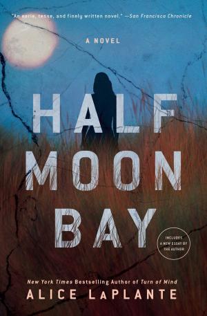 Cover of the book Half Moon Bay by John McQuaid