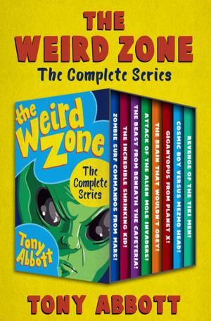 Cover of the book The Weird Zone by Malcolm Bradbury