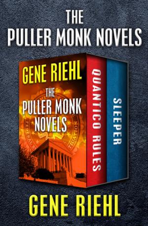 Cover of the book The Puller Monk Novels by David Workman