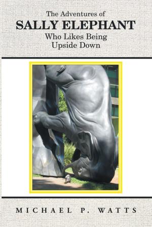 Cover of the book The Adventures of Sally Elephant Who Likes Being Upside Down by Ken Kizzee