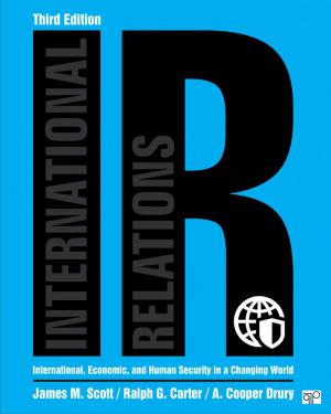 Cover of the book IR by Paul C. Rosenblatt