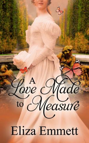Cover of the book A Love Made to Measure by Larry Farmer