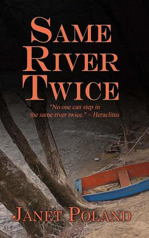 Cover of the book Same River Twice by Robyn Rychards