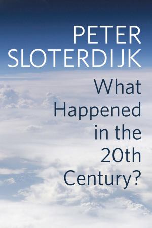 Cover of the book What Happened in the Twentieth Century? by Constantin Corduneanu, Yizeng Li, Mehran Mahdavi