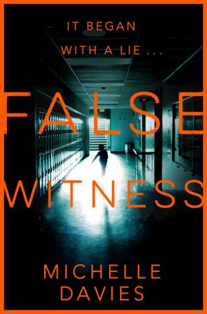 Cover of the book False Witness by Elizabeth McDonnell