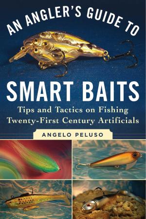 Cover of the book An Angler's Guide to Smart Baits by Lisa Flodin, Camilla Perez