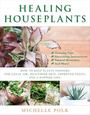 Cover of the book Healing Houseplants by Advait
