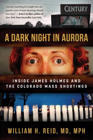 Cover of the book A Dark Night in Aurora by Fiona McDonald