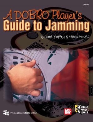 bigCover of the book A Dobro Player's Guide to Jamming by 