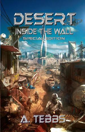 Cover of Desert 1: Inside the Wall Special Edition