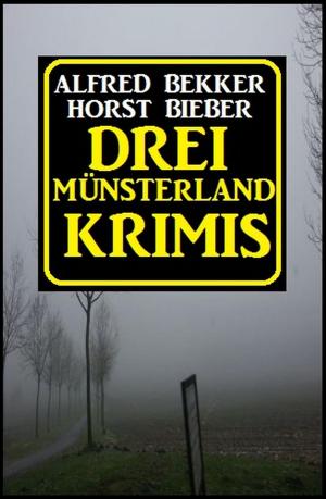 Cover of the book Drei Münsterland Krimis by Alfred Bekker, Peter Haberl, Albert Baeumer, W. A. Hary