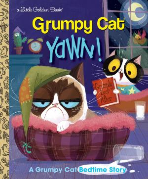 Book cover of Yawn! A Grumpy Cat Bedtime Story (Grumpy Cat)