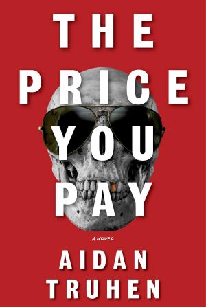 Cover of the book The Price You Pay by Mary Gaitskill
