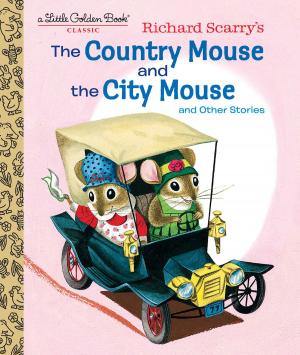 Cover of the book Richard Scarry's the Country Mouse and the City Mouse by Judy Sierra