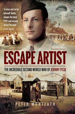 Book cover of Escape Artist