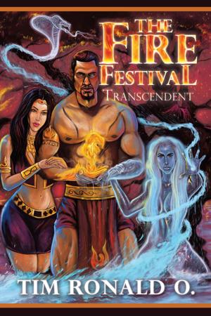Cover of the book The Fire Festival by Carol E. Sandau