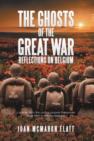 Cover of the book The Ghosts of the Great War by Patrick David Daley