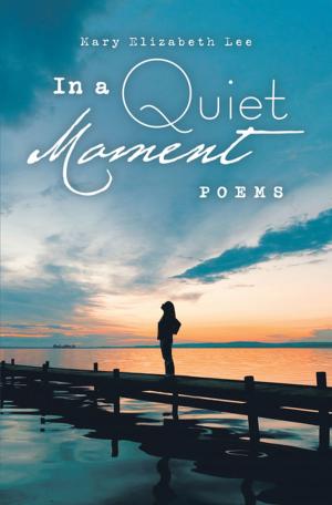 Book cover of In a Quiet Moment