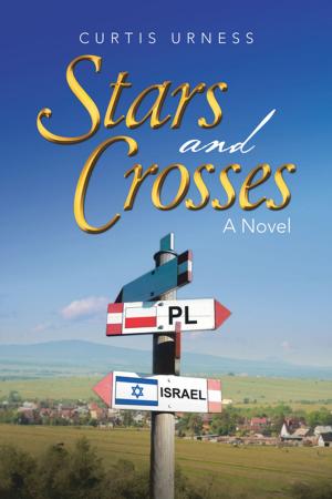 Cover of the book Stars and Crosses by Edi Holley