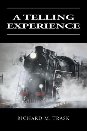 Cover of the book A Telling Experience by Jeffrey Underwood