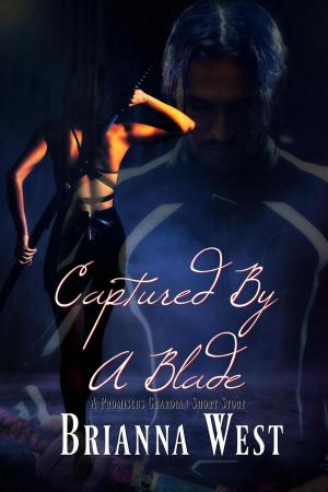 Cover of the book Captured by a Blade by Connie Keenan