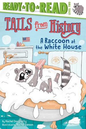 Cover of the book A Raccoon at the White House by Cynthia Rylant