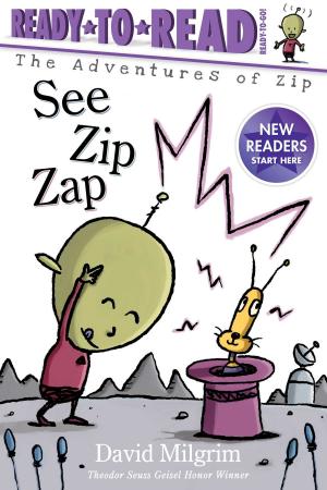 Cover of the book See Zip Zap by Joan Holub