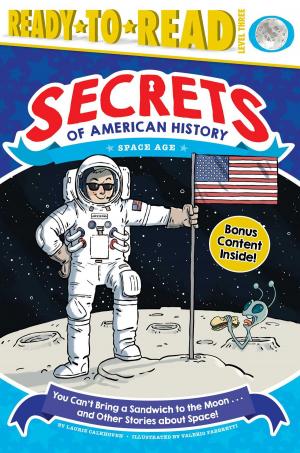 Cover of the book You Can't Bring a Sandwich to the Moon . . . and Other Stories about Space! by Alan Gratz