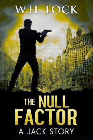 Cover of the book The Nulll Factor by John Michael Kearney