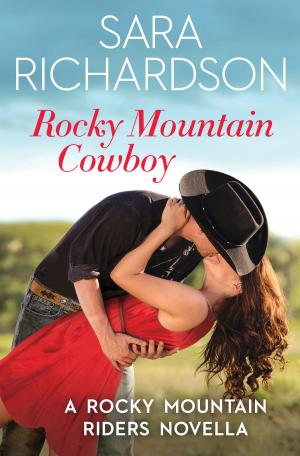 Book cover of Rocky Mountain Cowboy