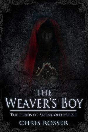 Cover of the book The Weaver's Boy by JD Byrne