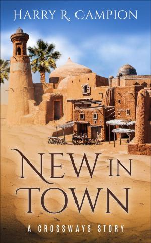 Cover of the book New in Town by Richard Everett Upton