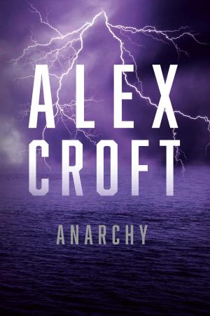 Cover of the book Anarchy by Dan Richart