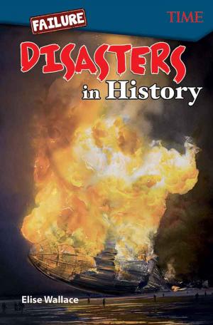 Cover of the book Failure Disasters In History by D'Alessandro Cathy, Hoffmeister Noelle