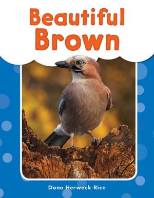 Cover of the book Beautiful Brown by Lisa Holewa