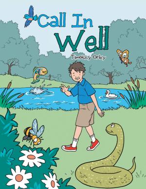 Cover of the book Call in Well by Jane Mayes