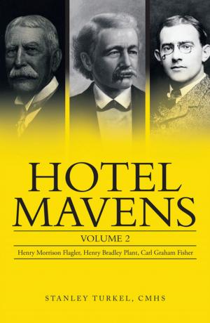 Cover of the book Hotel Mavens: Volume 2 by Carolyn J. Bingham