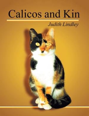 Cover of the book Calicos and Kin by Liz Kingston Bettle