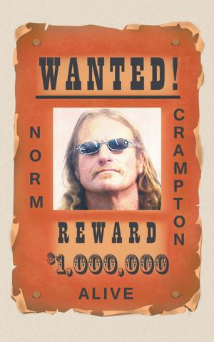 Cover of the book Wanted! by Larry Kritcher