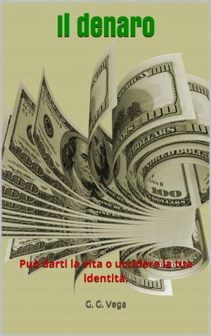 Cover of the book Il denaro by Guido Galeano Vega