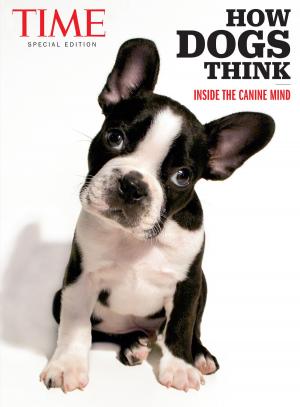 Book cover of TIME How Dogs Think