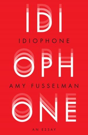 Cover of the book Idiophone by Karen Tei Yamashita